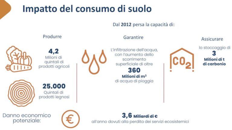 Consumo Di Suolo E Cementificazione All Origine Del Run Off INFOBUILD