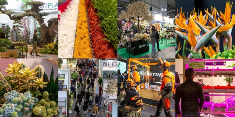 Notizie Myplant Garden Il Mondo Del Verde In Fiera A Milano