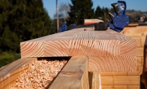 Notizie Casa Ecologica Con Il Sistema Di Mattoni In Legno Birkawood