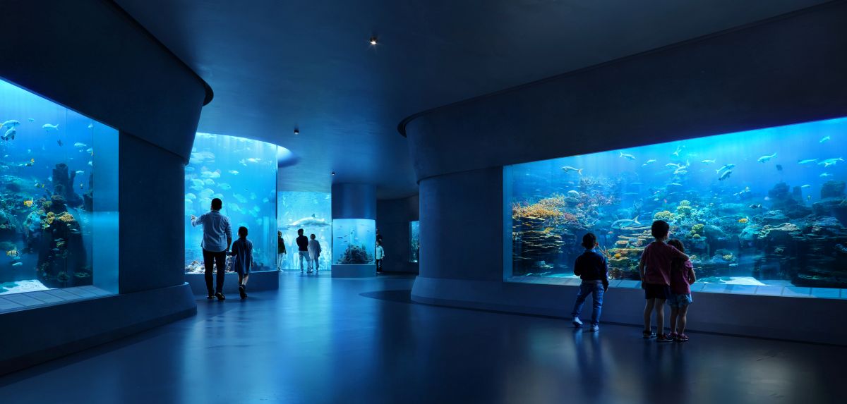 L'acquario del Centro della Cultura Mediterranea di Reggio Calabria