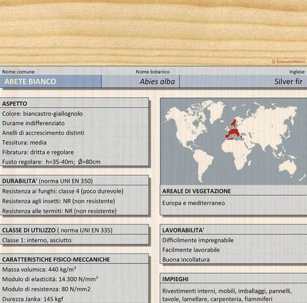 Caratteristiche dell'abete bianco, legno utilizzato in edilizia