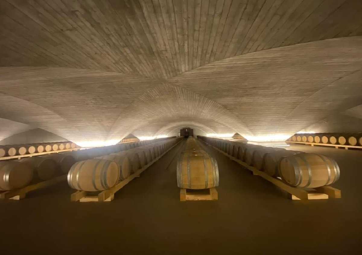 La nuova Cantina Vitivinicola Vie di Romans