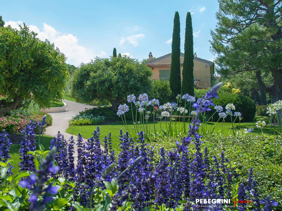 giardino mediterraneo realizzato da Pellegrini Giardini, caratterizzato da una quercia secolare e da fioriture colorate