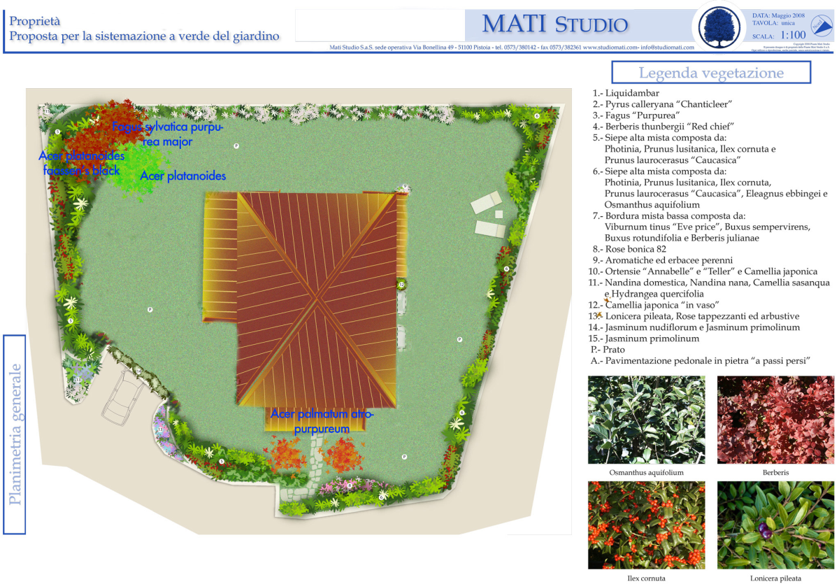 La realizzazione di un giardino in contesto urbano ad opera di Piante Mati.