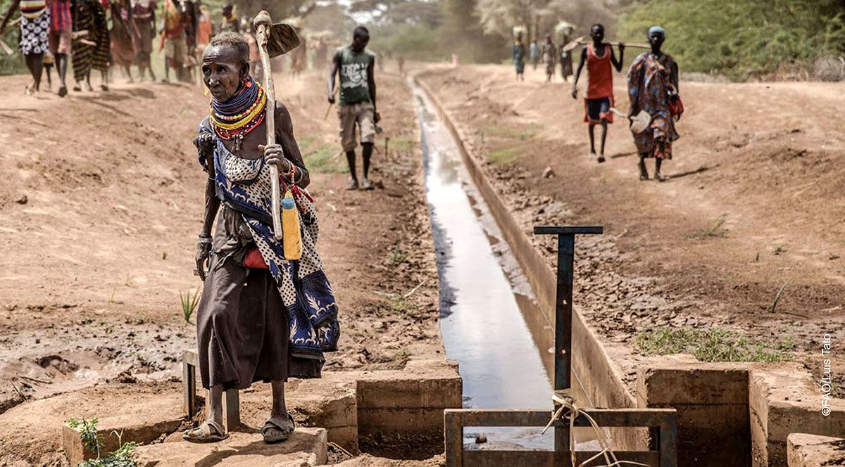 Un canale di irrigazione attraversa un'area altrimenti arida in Kenya. 