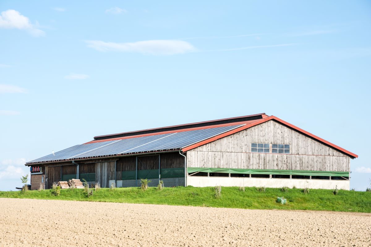 installazione di pannelli fotovoltaici sui tetti delle strutture agricole