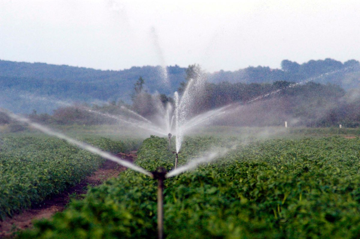 Soluzioni per l’irrigazione smart