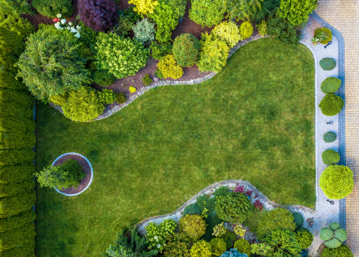 Cos'è la progettazione dei giardini?