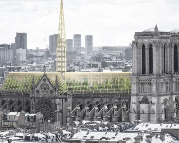 Notre Dame potrebbe ospitare una serra educativa e un apiario