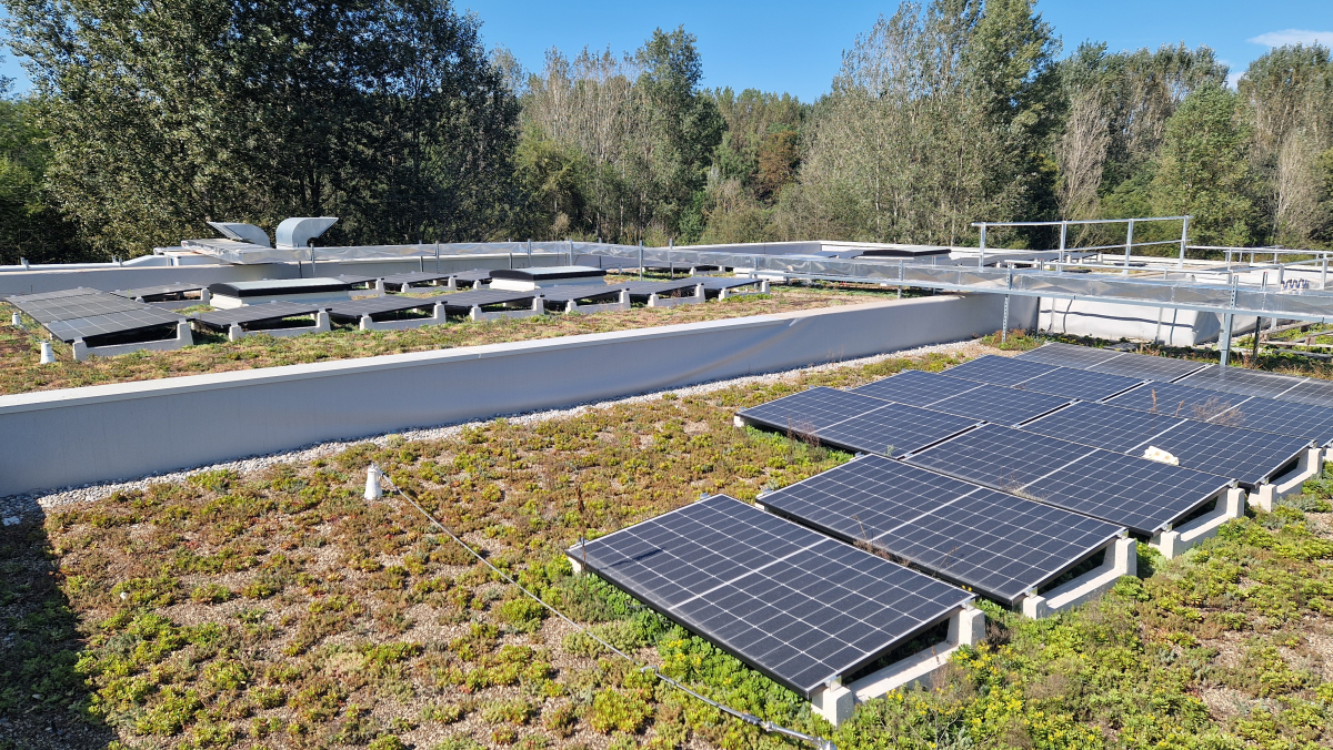 Il tetto verde del centro riabilitativo CR² Sinapsi è dotato di pannelli fotovoltaici